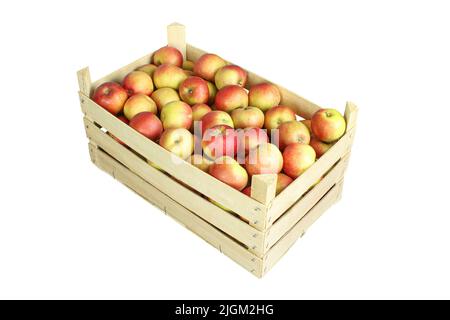 Pommes colorées en caisse en bois isolée sur fond blanc Banque D'Images