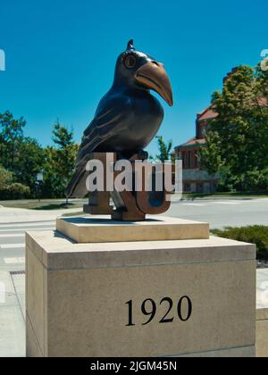 Lawrence, Kansas 10 juillet 2022 - 1920 Jayhawk près du Musée d'histoire naturelle d'Ascher Plaza Banque D'Images