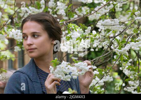 ALICIA VIKANDER, TESTAMENT DE LA JEUNESSE, 2014 Banque D'Images