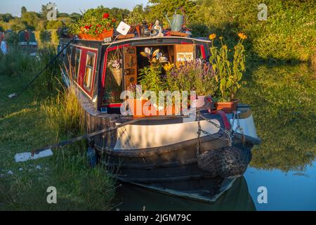 Bateau NarrowboatCanal,à bec,fleurs,plantes,lumière du soir,Kennet et Avon,Canal,Devozes,Wiltshire,Angleterre Banque D'Images