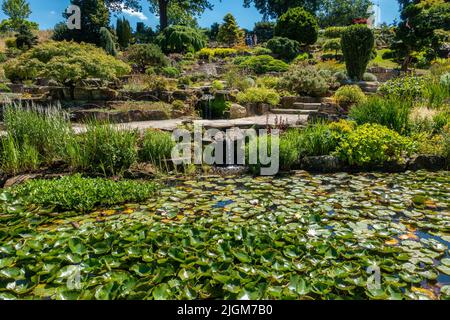 Rockery, Rock Garden, RHS Wisley, Gardens, Angleterre, Banque D'Images