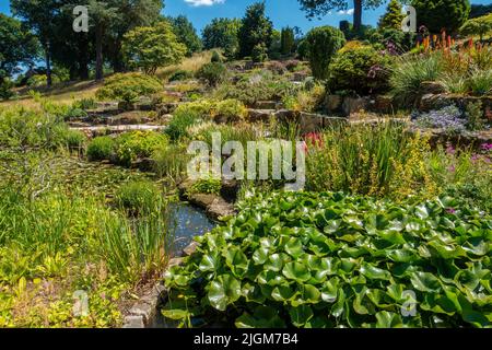 Rockery, Rock Garden, RHS Wisley, Gardens, Angleterre, Banque D'Images