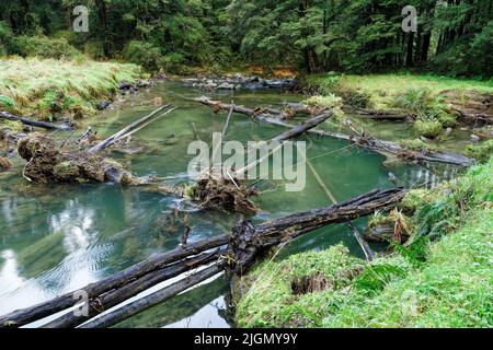 Six Mile Creek Walkway, un lagon au-dessus de la hauteur et de la cascade, Murchison, île sud, Aotearoa / Nouvelle-Zélande Banque D'Images