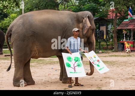 Village d'éléphants, spectacle d'éléphants, peinture, spectacle, Surin, ISAN(Isaan),Thaïlande, Asie du Sud-est, Asie Banque D'Images