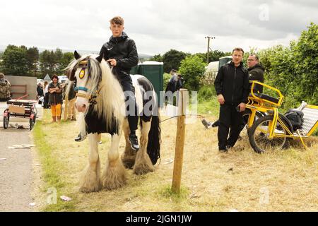 Un adolescent qui a une cocon gitane de couleur. Appleby Horse Fair, Appleby à Westmorland, Cumbria Banque D'Images