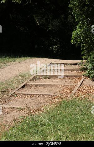 Image verticale de marches rustiques bordées de bois dans un cadre boisé Banque D'Images