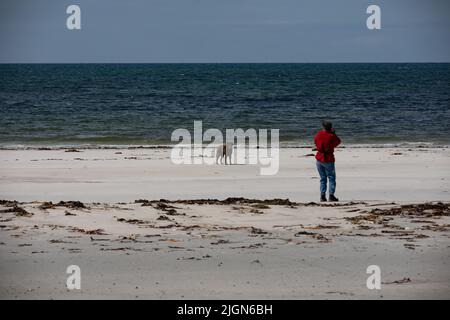 Dame en rouge photographiant un chien Gearraidh na Monadh Beach, Sud Uist (Uibhist a Deas) Banque D'Images