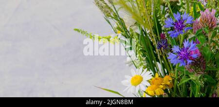 bannière avec bouquet de champs d'été. camomille, fleurs de maïs, herbe et céréales sur fond clair avec espace de copie. mise au point douce. Concept été ou printemps Banque D'Images