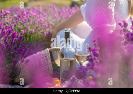 La fille se repose dans un champ de lavande, buvant du vin. Mise au point sélective. Détente Banque D'Images