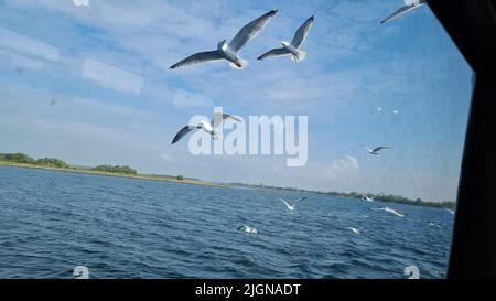 OUDDORP, PAYS-BAS - 05 MAI 2022: Ouddorp, pays-Bas - 05 mai 2022: Visitez le Musée du chemin de fer à Ouddorp, le Musée de la RTM des pays-Bas Ouddorp Banque D'Images