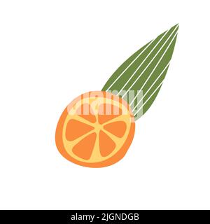 Fruits orange, tranche et feuilles. Illustration vectorielle Doodle dessinée à la main isolée sur fond blanc. Icône simple dessinée à la main Illustration de Vecteur