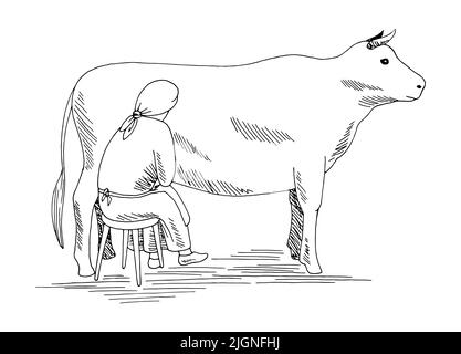 Femme milking un graphique de vache noir blanc isolé esquisse illustration vecteur Illustration de Vecteur