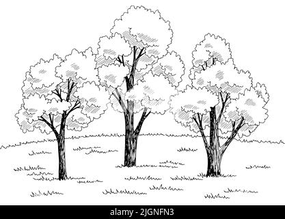 Motif de glade forêt noir blanc paysage dessin vecteur d'illustration Illustration de Vecteur