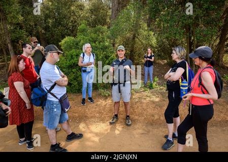 Un groupe avec un guide de Naturalwalk sur une promenade dans Collserola (Sant Cugat del Vallès, Catalogne, Espagne) ESP: Un grupo con un guía de Naturalwalk Banque D'Images