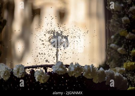 La cathédrale de Barcelone cloître avec la fontaine et le 'ou com balla' (l'oeuf comme il danse), une tradition catalane du jour du Corpus (Barcelone, Espagne) Banque D'Images