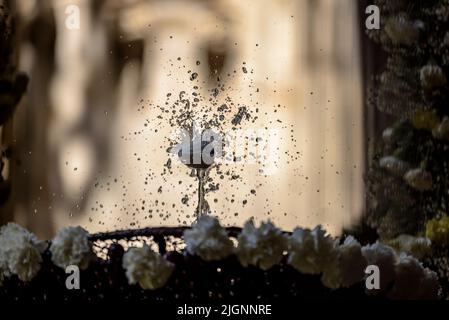 La cathédrale de Barcelone cloître avec la fontaine et le 'ou com balla' (l'oeuf comme il danse), une tradition catalane du jour du Corpus (Barcelone, Espagne) Banque D'Images