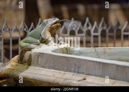 La cathédrale de Barcelone cloître avec la fontaine et le 'ou com balla' (l'oeuf comme il danse), une tradition catalane du jour du Corpus (Barcelone, Espagne) Banque D'Images