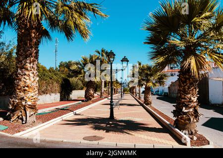 Passerelle piétonne bordée de palmiers Date, Alfoquia, province d'Almeria, Andalousie, Espagne Banque D'Images