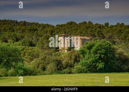 Font Negra maison de campagne au printemps, dans le Parc naturel de Collserola (Sant Cugat del Vallès, Barcelone, Catalogne, Espagne) ESP Casa de la font Negra Banque D'Images
