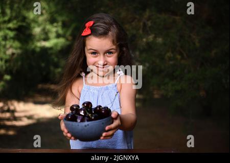 Adorable petite fille caucasienne aux cheveux longs, portant une sunress bleue d'été, tient un bol en céramique avec des cerises mûres fraîchement cueillies dans son ha étiré Banque D'Images