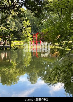 Vue sur l'étang dans le jardin japonais au jardin botanique de Brooklyn. Le jardin japonais Hill-and-Pond est l'un des plus anciens et des plus visités jardins d'inspiration japonaise à l'extérieur du Japon. Banque D'Images