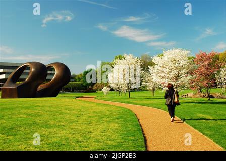 Une jeune femme marche le long d'un chemin entouré de cerisiers en fleurs et d'une sculpture Henry Moore lors d'une journée de printemps dans un jardin d'art extérieur Banque D'Images