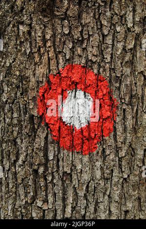 Cercle rouge, point blanc signe de randonnée sur l'arbre. Tracé et direction de marquage Banque D'Images