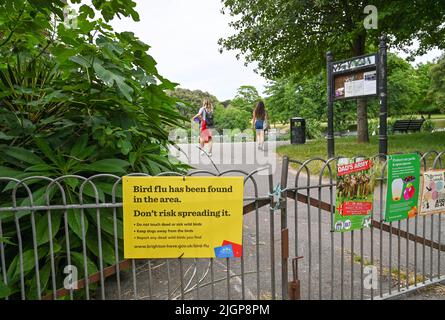 Brighton UK 12th juillet 2022 - la grippe aviaire a été trouvée à Queens Park , Brighton où le conseil municipal a mis des panneaux avertissant les gens de ne pas manipuler les oiseaux malades : crédit Simon Dack / Alamy Live News Banque D'Images