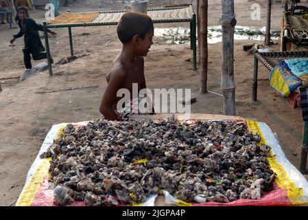 11 juillet 2022, Lahore, Punjab, Pakistan: Les Gitans pakistanais ont répandu de la viande salée pour sécher sur un charpai recueilli à différents endroits pendant les 2nd jours de la célébration musulmane Eid al-Adha ou du Festival du sacrifice à Lahore. Les musulmans célèbrent Eid al-Adha ou Fête du sacrifice, la deuxième des deux fêtes islamiques célébrées dans le monde entier marquant la fin du pèlerinage annuel ou du Hajj à la ville sainte saoudienne de la Mecque et commémorant la volonté du prophète Ibrahim, Abraham aux chrétiens et aux juifs, de sacrifier son fils. Pendant les vacances, qui dans la plupart des endroits dure quatre jours, musulmans Slaugh Banque D'Images