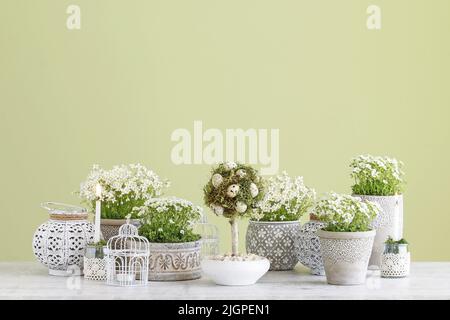 Belle décoration de Pâques avec fleurs, mousse et bougies. Décoration de fête Banque D'Images