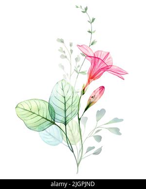 Fleur d'hibiscus d'aquarelle transparente, branches d'eucalyptus. Bouquet tropical coloré isolé sur blanc. Illustration florale abstraite botanique pour Banque D'Images