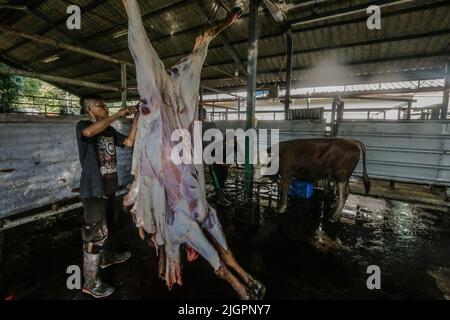 Bogor, Indonésie. 10th juillet 2022. (NOTE DE LA RÉDACTION : contenu graphique) un travailleur a coupé des vaches abattues dans l'abattoir de la ville de Bogor, à Bogor, dans l'ouest de Java, en Indonésie, au 10 juillet 2022. D'après les données du Ministère indonésien de l'agriculture, la demande de l'Indonésie pour les importations de boeuf en 2022 atteindra 266 065 tonnes. L'Australie est devenue le pays d'origine de la première importation de boeuf en Indonésie. L'Inde en deuxième place, les États-Unis en troisième place. (Photo par Andi M Ridwan/INA photo Agency/Sipa USA) crédit: SIPA USA/Alay Live News Banque D'Images