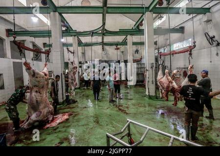 Bogor, Indonésie. 10th juillet 2022. (NOTE DE LA RÉDACTION : contenu graphique) un travailleur a coupé des vaches abattues dans l'abattoir de la ville de Bogor, à Bogor, dans l'ouest de Java, en Indonésie, au 10 juillet 2022. D'après les données du Ministère indonésien de l'agriculture, la demande de l'Indonésie pour les importations de boeuf en 2022 atteindra 266 065 tonnes. L'Australie est devenue le pays d'origine de la première importation de boeuf en Indonésie. L'Inde en deuxième place, les États-Unis en troisième place. (Photo par Andi M Ridwan/INA photo Agency/Sipa USA) crédit: SIPA USA/Alay Live News Banque D'Images