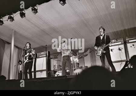 L'OMS à Windsor Jazz and Blues Festival Festival à l'Hippodrome de Windsor, en Angleterre, le samedi 13 juillet 1966 Banque D'Images