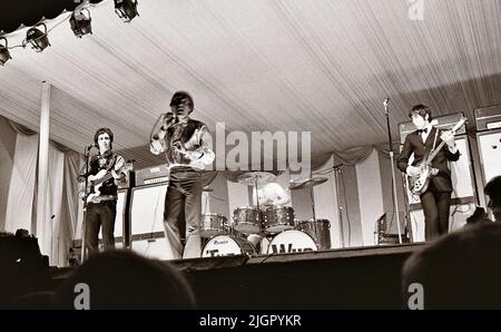 L'OMS à Windsor Jazz and Blues Festival Festival à l'Hippodrome de Windsor, en Angleterre, le samedi 13 juillet 1966 Banque D'Images