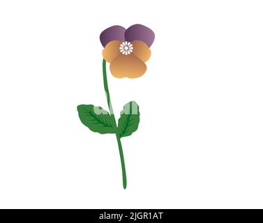 fleurs de pansies isolées sur fond blanc - illustration vectorielle Illustration de Vecteur