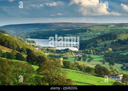 Paysage rural pittoresque et protégé par les Dales du Yorkshire (magnifique paysage pastoral, arbres sur les collines, murs en pierre sèche) - Upper Nidfoot, Angleterre, Royaume-Uni. Banque D'Images