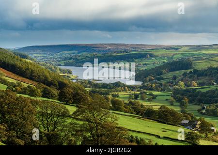 Paysage rural pittoresque et protégé par les Dales du Yorkshire (magnifique paysage pastoral, arbres sur les collines, murs en pierre sèche) - Upper Nidfoot, Angleterre, Royaume-Uni. Banque D'Images