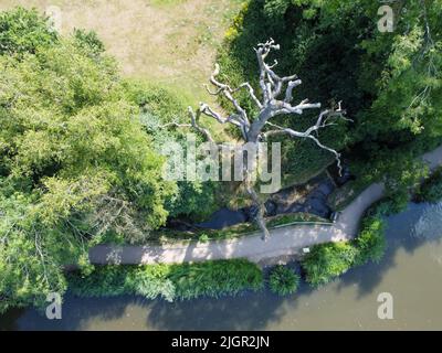 Plan descendant du lac et du chemin dans Barclay Park Banque D'Images