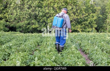 Un fermier appliquant des insecticides à sa culture de pomme de terre. Pieds d'un homme dans un équipement de protection individuelle pour l'application de pesticides. Un homme vaporise du pota Banque D'Images