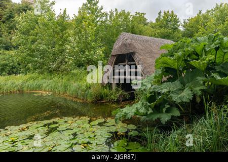 Les jardins du château d'arundel, West Sussex Banque D'Images