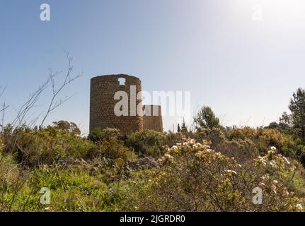 Une belle vue depuis les fleurs de Molins de la Plana en Espagne Banque D'Images