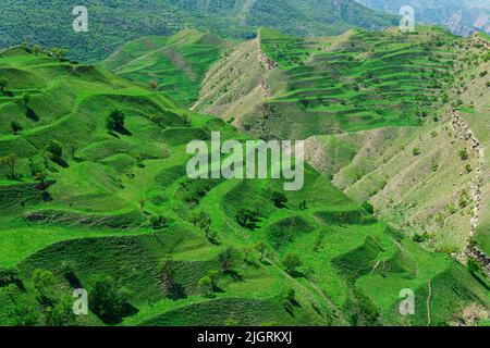 Terres agricoles en terrasse sur les pentes de montagne du Dagestan Banque D'Images