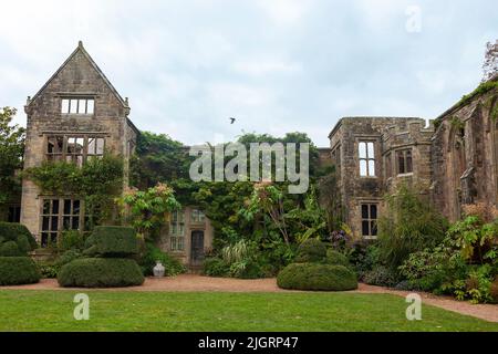 Les ruines romantiques de Nymans, détruites par le feu en 1947, et maintenant entourées de plantations luxuriantes et exotiques : West Sussex, Royaume-Uni Banque D'Images