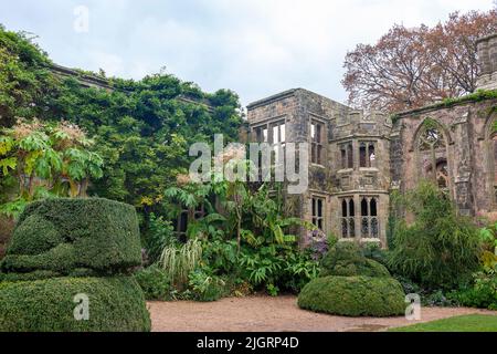 Les ruines romantiques de Nymans, détruites par le feu en 1947, et maintenant entourées de plantations luxuriantes et exotiques : West Sussex, Royaume-Uni Banque D'Images