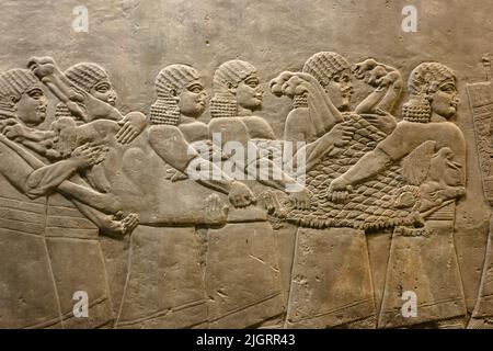 Reliefs assyriens exposés au British Museum de Londres, en Angleterre Banque D'Images