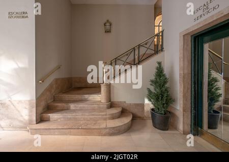 Escalier d'une maison de luxe avec marches en marbre, arbre dans une casserole et balustrade en métal doré Banque D'Images