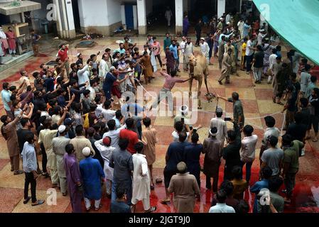 11 juillet 2022, Lahore, Punjab, Pakistan: Des dévots musulmans pakistanais abattent des chameaux le 2nd jour d'Eid al-Adha, le Festival du sacrifice (Qurbani) à la mosquée Darul Uloom Jamia Naeemia avec des SOP à Lahore. Les musulmans célèbrent Eid al-Adha ou Fête du sacrifice, la deuxième des deux fêtes islamiques célébrées dans le monde entier marquant la fin du pèlerinage annuel ou du Hajj à la ville sainte saoudienne de la Mecque et commémorant la volonté du prophète Ibrahim, Abraham aux chrétiens et aux juifs, de sacrifier son fils. Pendant les vacances, qui dure dans la plupart des endroits quatre jours, les musulmans abattent des moutons Banque D'Images