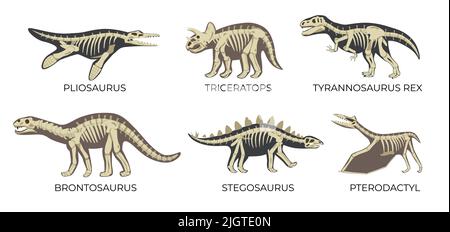 Ensemble plat de squelettes de dinosaures anciens avec pliosaurus triceratops tyrannosaurus rex brontosaurus stegosaurus et vecteur isolé ptérodactyle illustrate Illustration de Vecteur