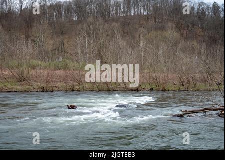 Eau courante rapide après la fonte de la neige au printemps Banque D'Images